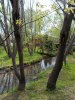 Rivière